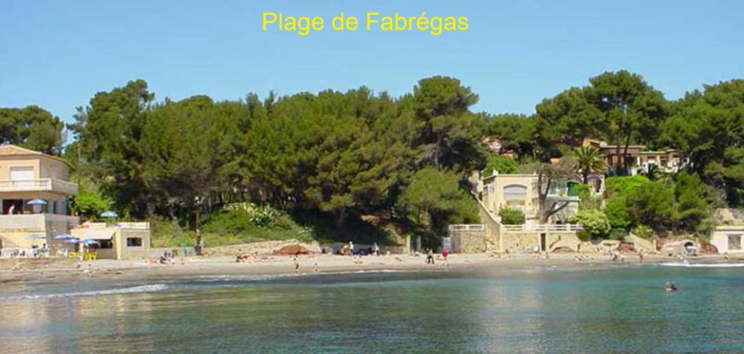 Chambre Et Salle De Bain Independantes A 200M De La Plage De Fabregas Ла-Сейн-сюр-Мер Экстерьер фото